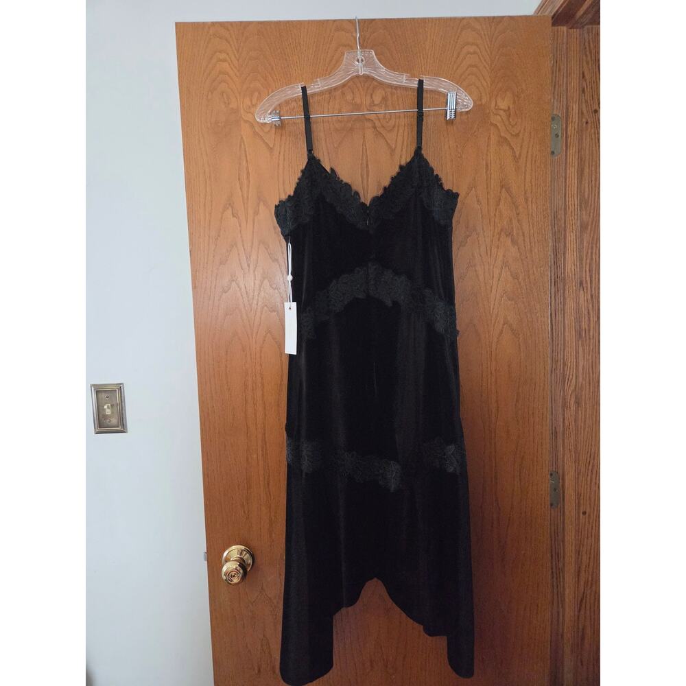 Siena Velvet Lace Applique Drop Waist Cocktail Gorpcore Mob Wife Dress NWT 10